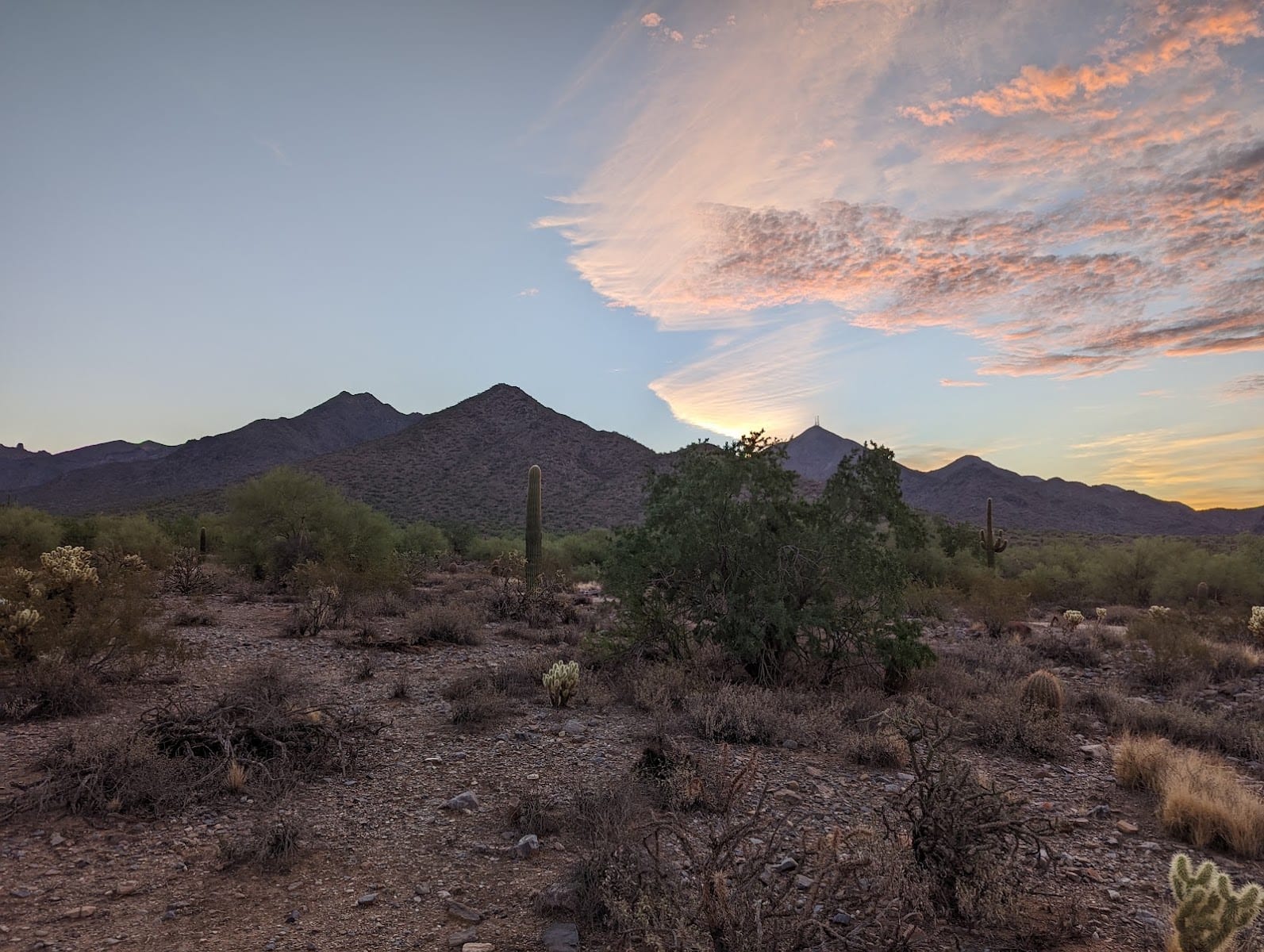 Bajada Nature Trail