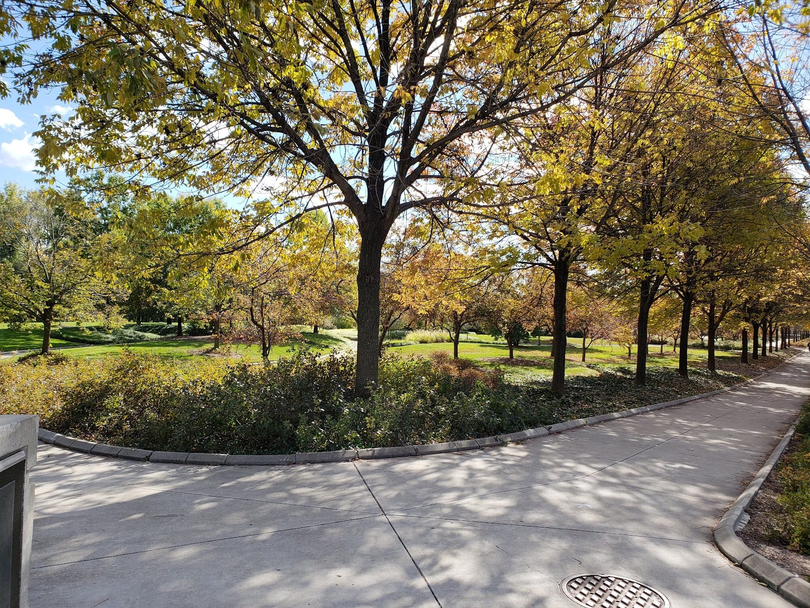Lawton Skatepark, photo 4
