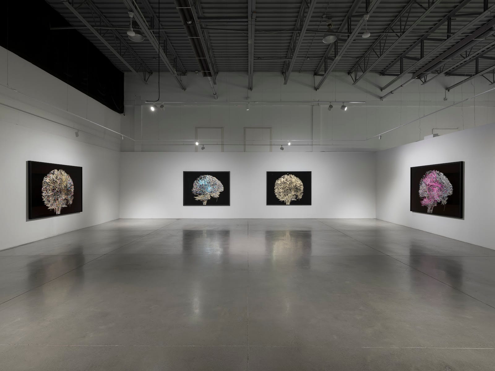 Blouin Division Gallery