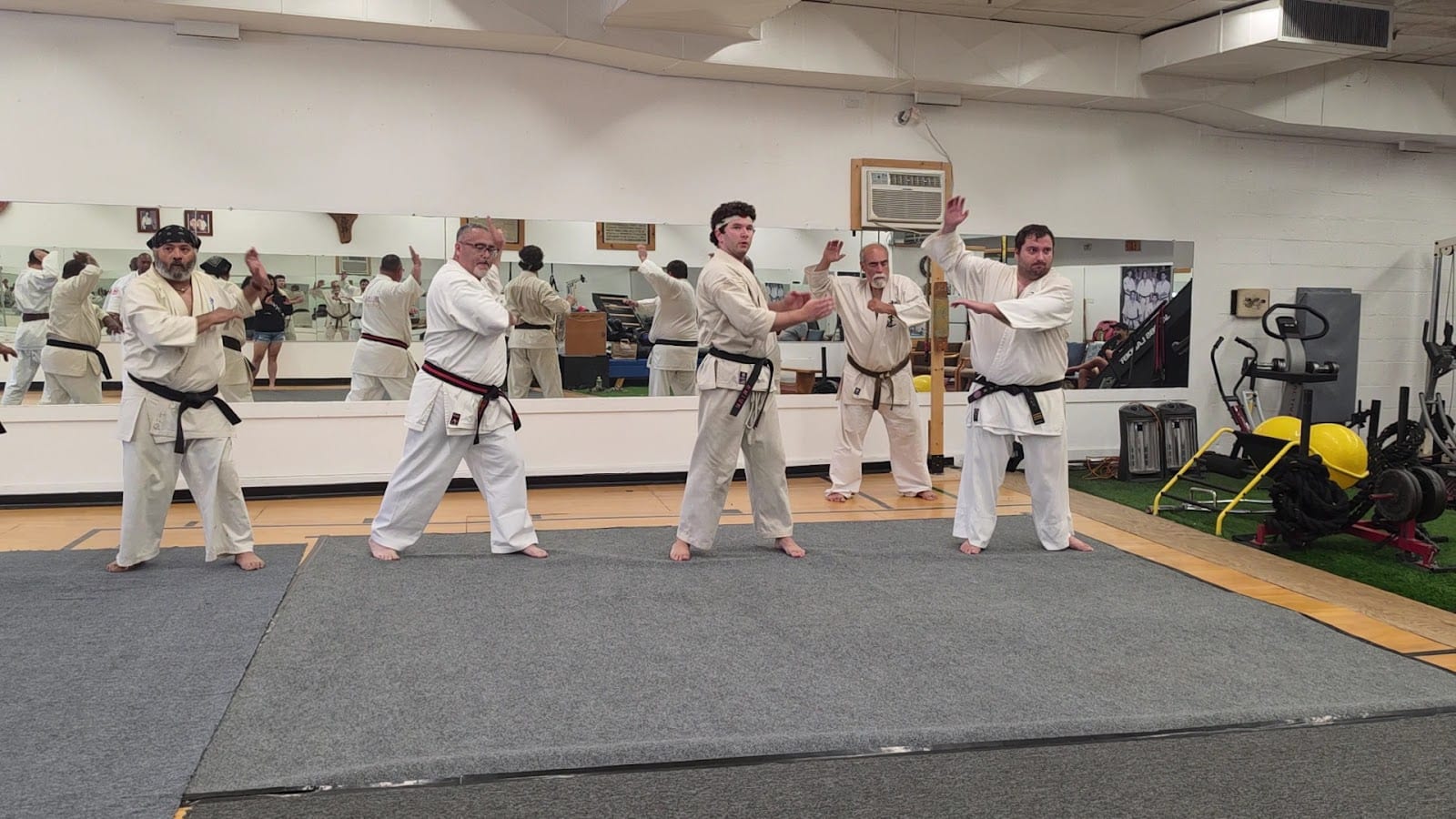 Sho Shin Karate Do, photo 2