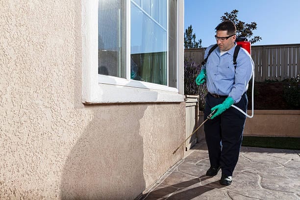 Affordable Flower Mound Pest Solutions, photo 4
