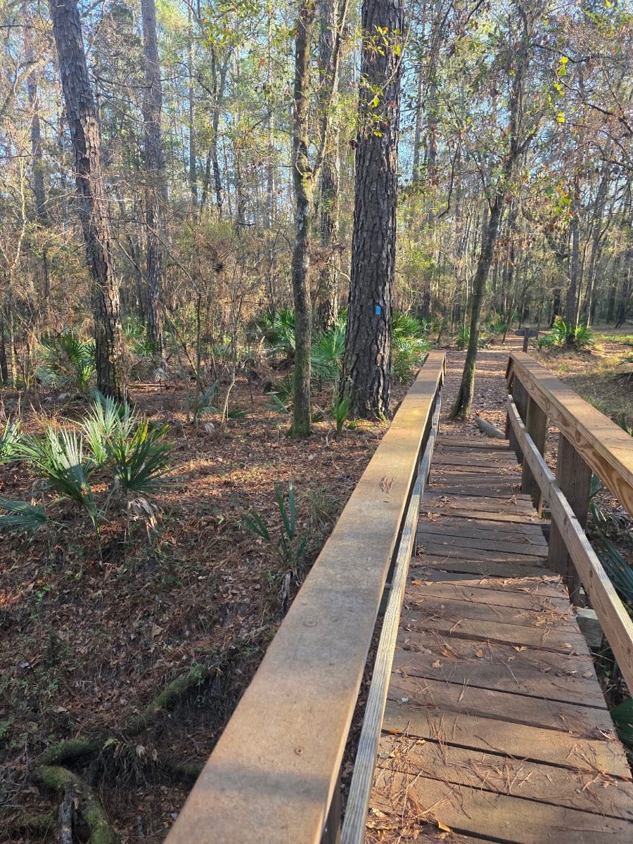 Pioneer Trailhead Parking, photo 3