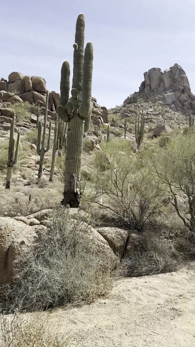 Pinnacle Peak Main Trail, photo 2