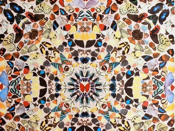Tempus Arts, photo 3