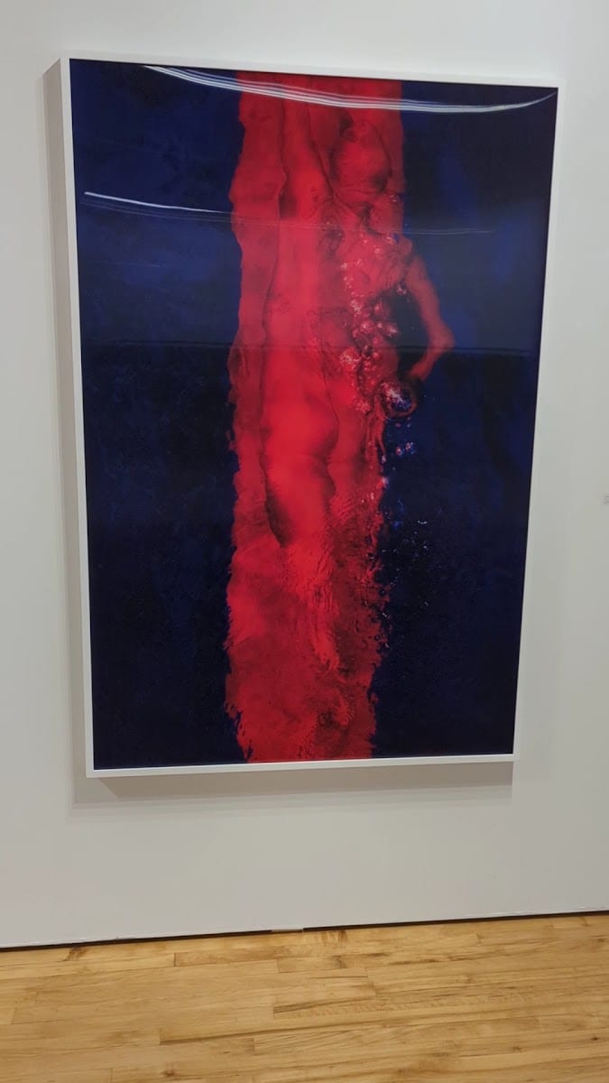 Bau-Xi Gallery Toronto | Dufferin, photo 3