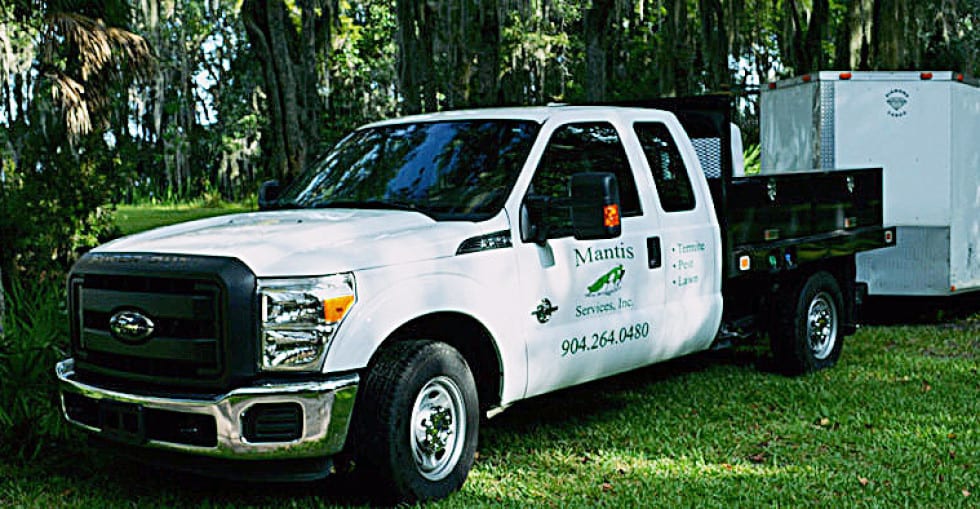 Mantis Services, Inc.