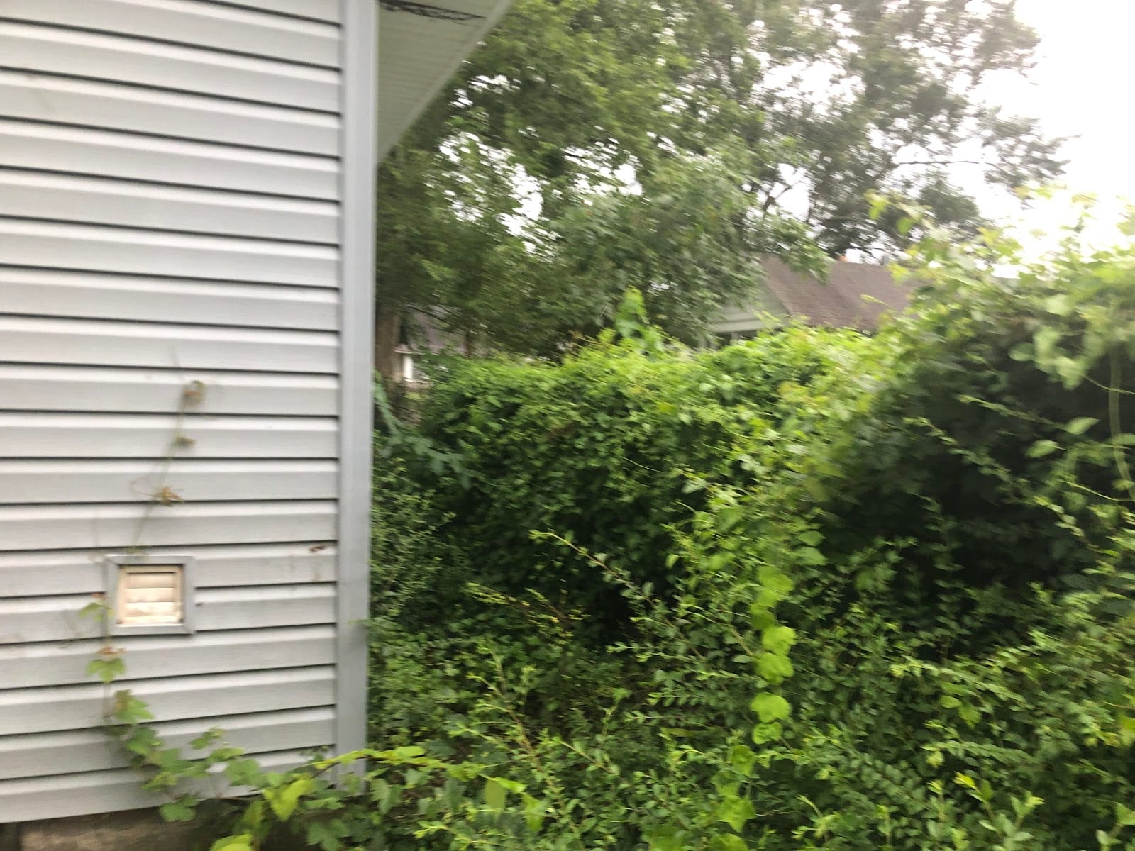 Bell-Key Properties, Inc., photo 3