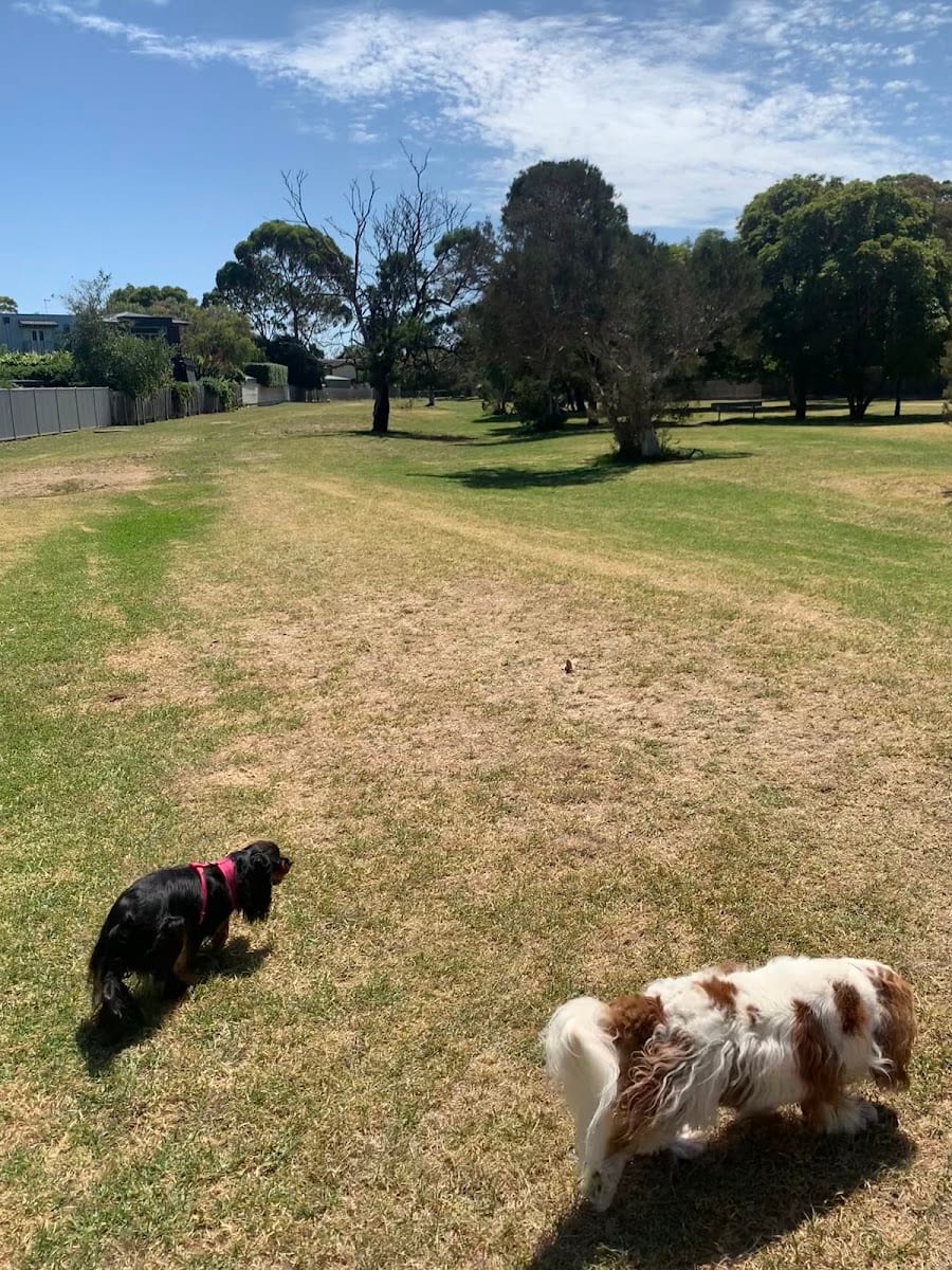 Woodvale Reserve Fenced Off Leash Dog Park, photo 2