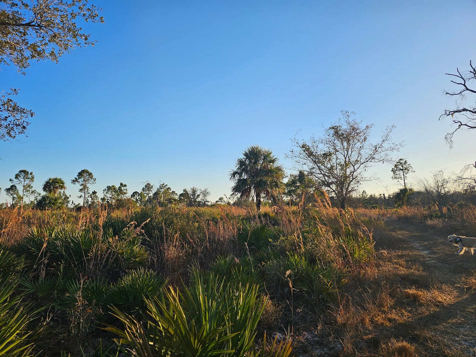Orange Hammock Wildlife Management Area
