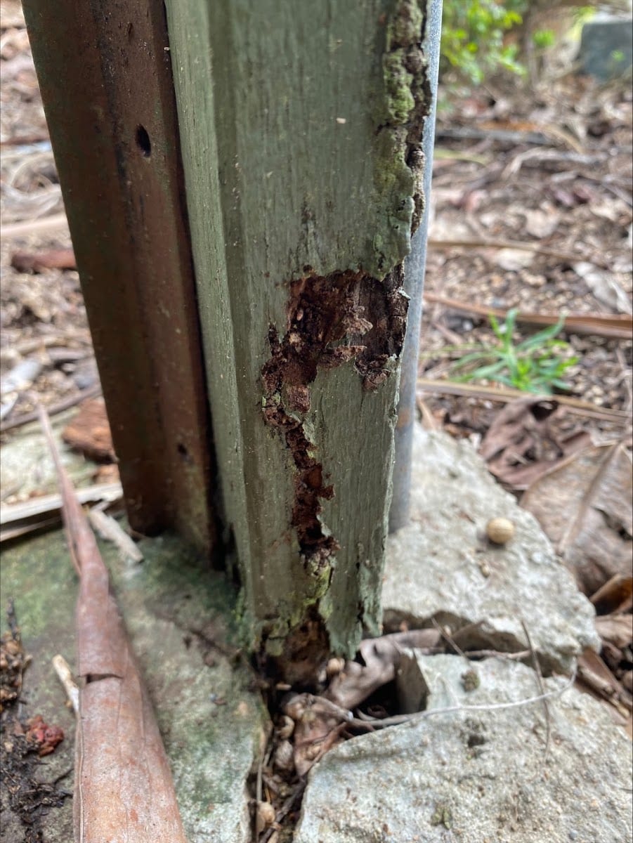 Tropical Pest Control