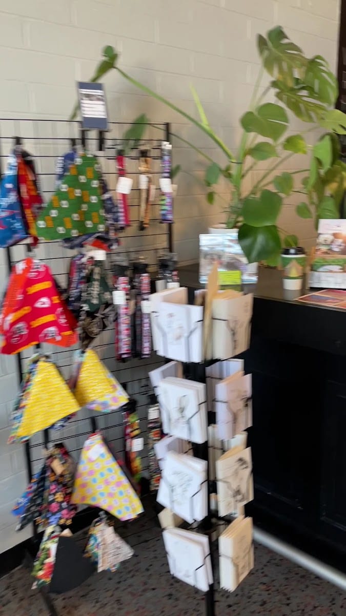 Brew Station Coffee Co, photo 2