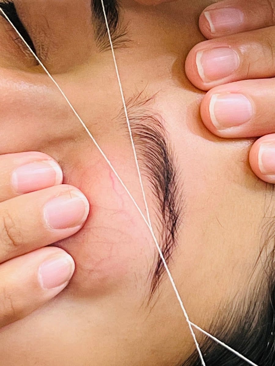 Hollywood Eyebrow Salon, photo 4