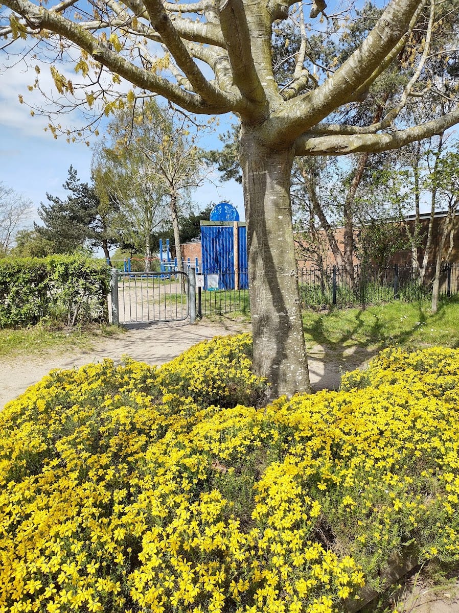 Sandy Park