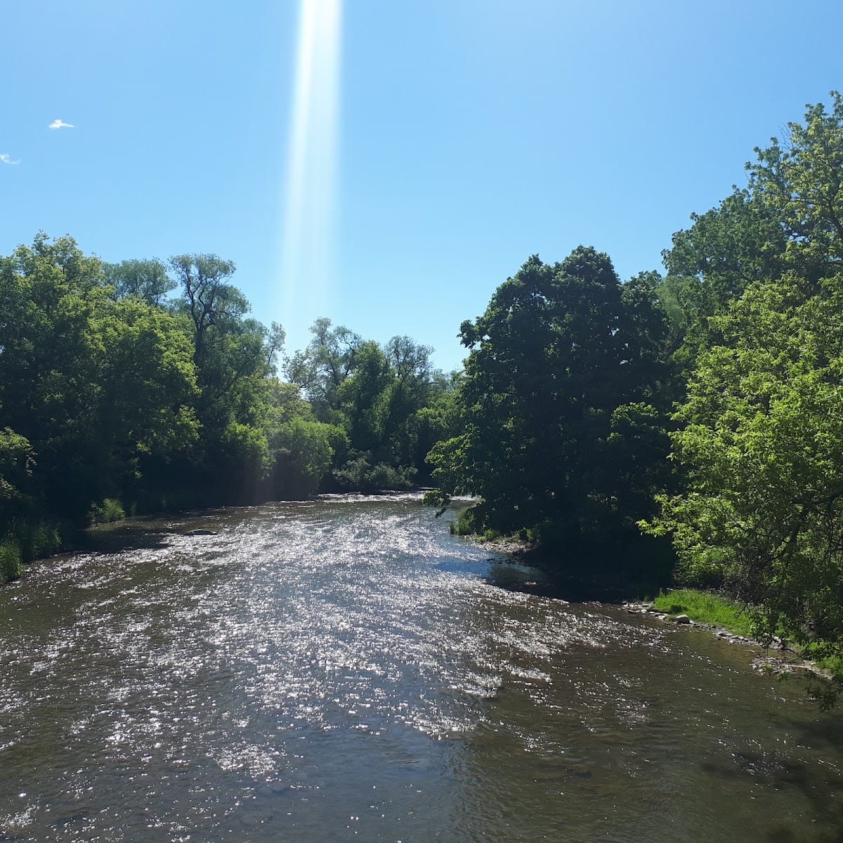 Rowntree Mills Park, photo 3