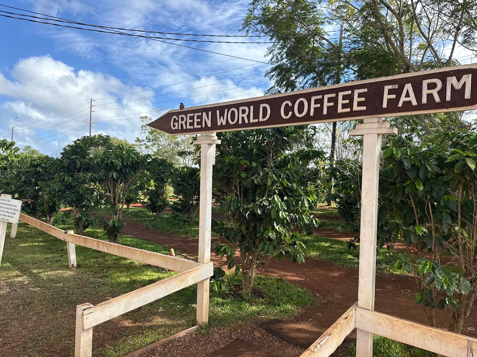 Green World Coffee Farm, photo 3