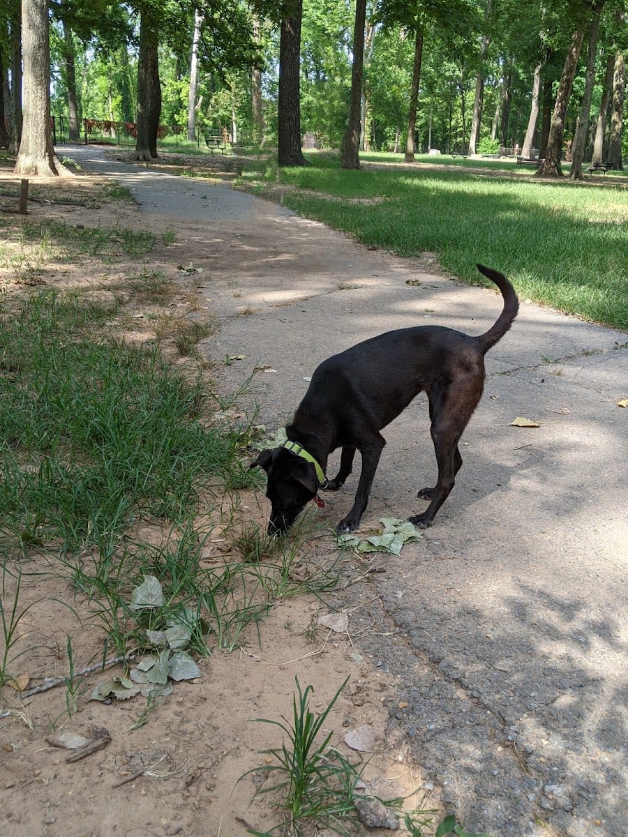 Paws Park at Murray, photo 3
