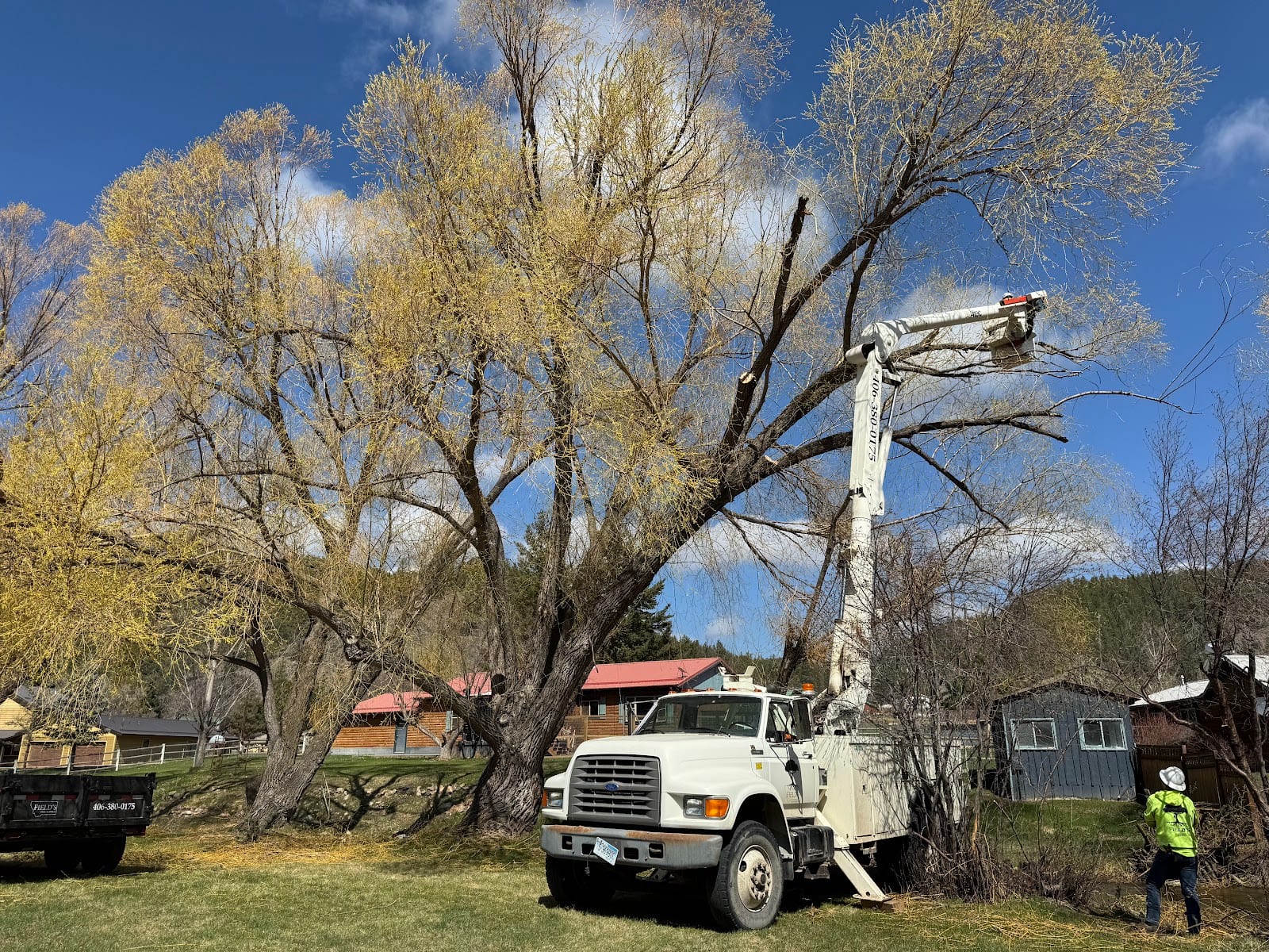 Field’s Tree Service, LLC, photo 4