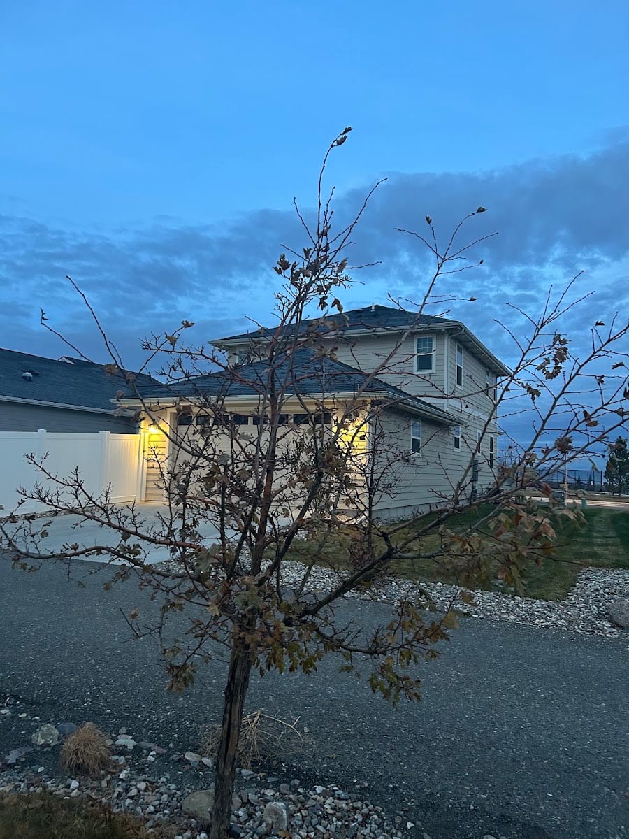 Brooks Arborist & Tree Services LLC