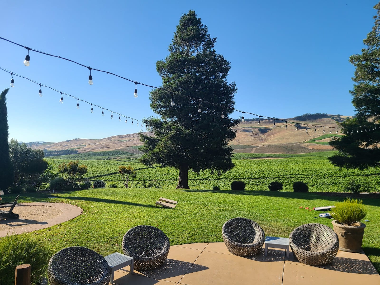 Sunrise Ranch Winery, photo 4