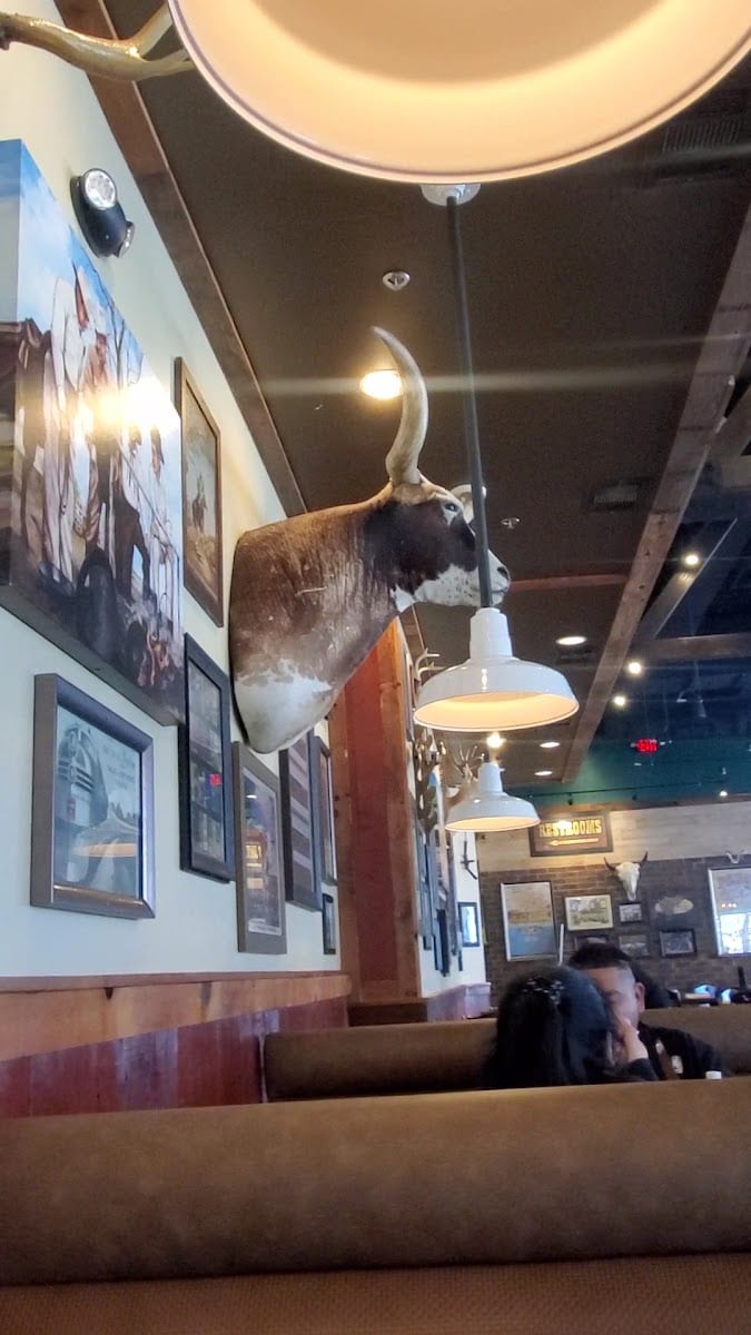 Saltgrass Steak House, photo 3