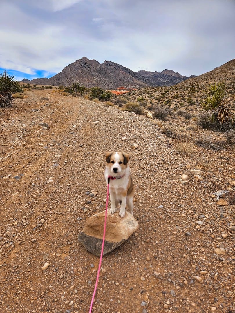 Little Red Rock, photo 3