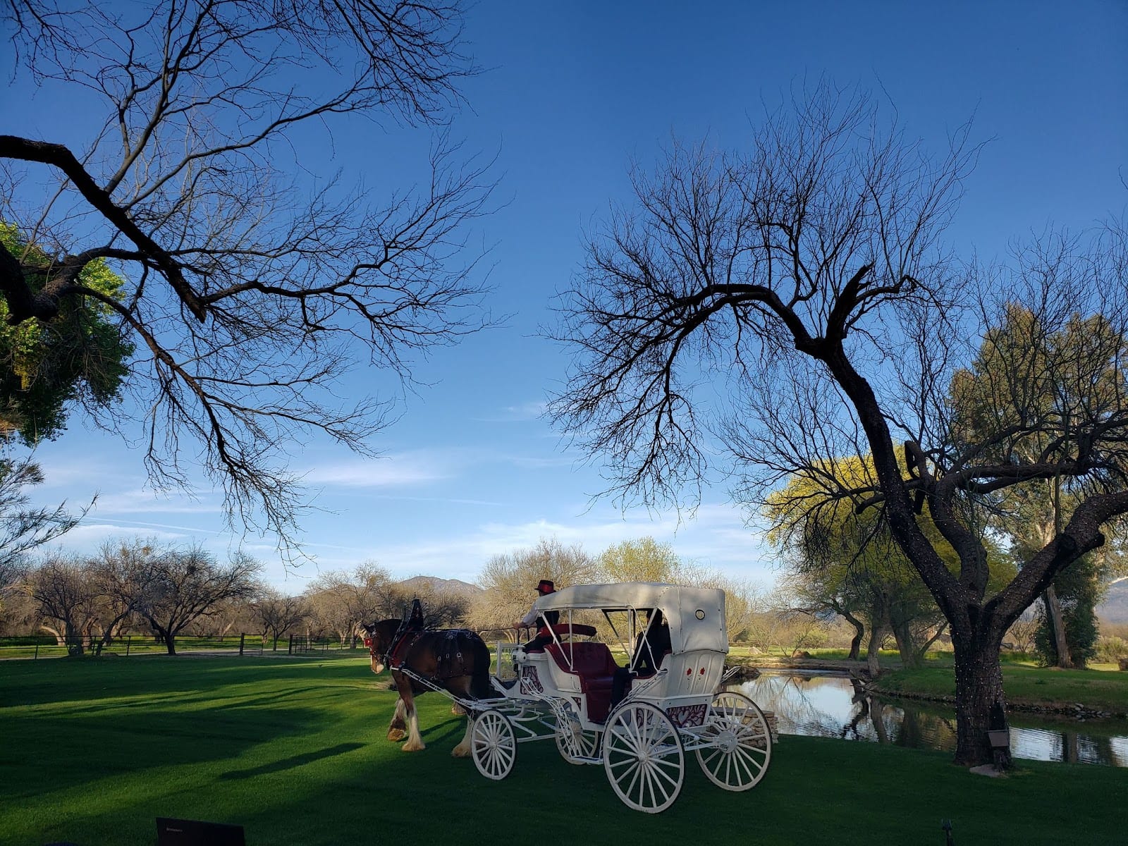 La Mariposa Resort - Weddings & Special Events, photo 3
