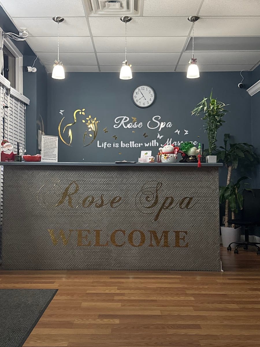 Rose Spa Massage E-3783, photo 3