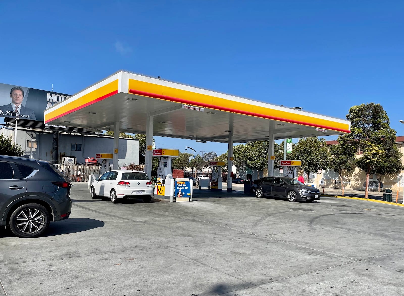 Shell, photo 3