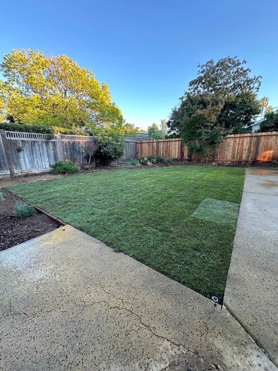 Verde Gardening service, photo 4