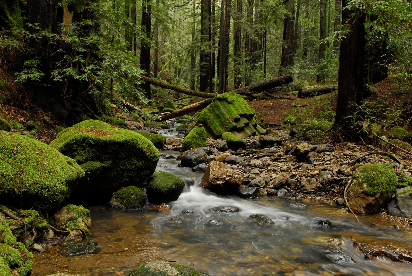 Archer Taylor Preserve, photo 2