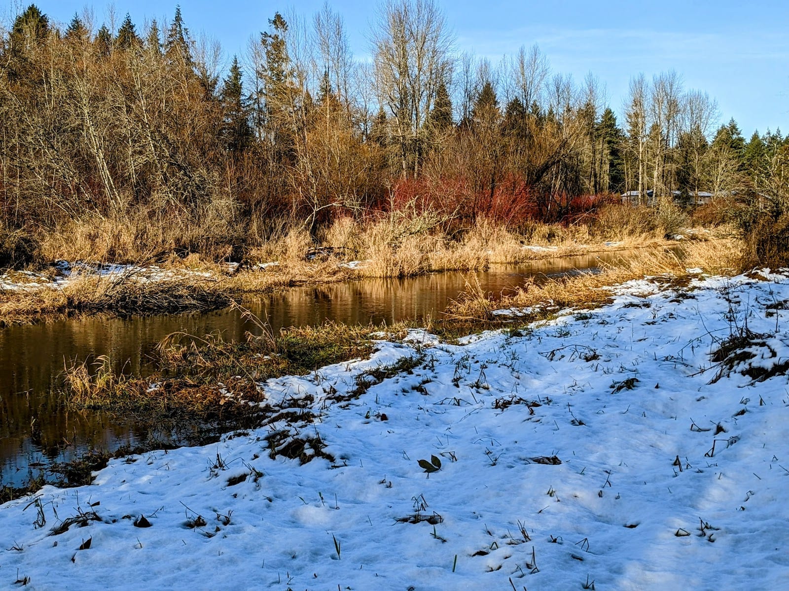 Black Lake Meadows Reserve, photo 3