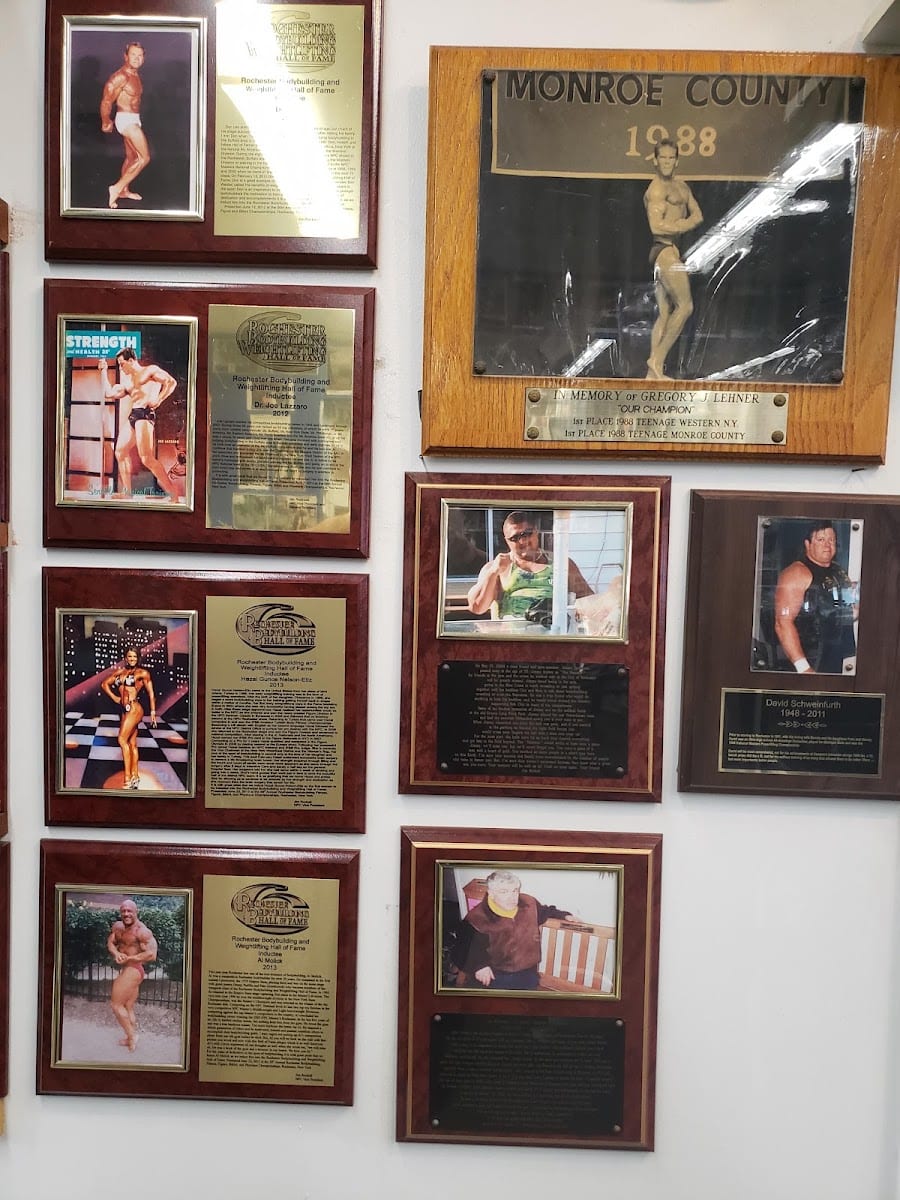 Samson's Body Building, photo 2
