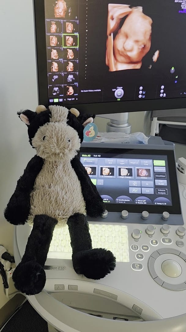 First Peek Ultrasound Studio, LLC - 3D Ultrasound Studio, photo 4
