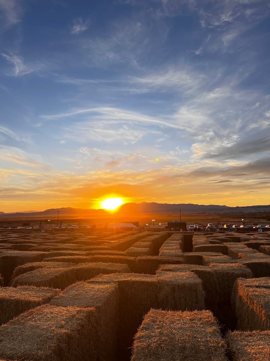 Cache Valley Straw Maze, photo 2