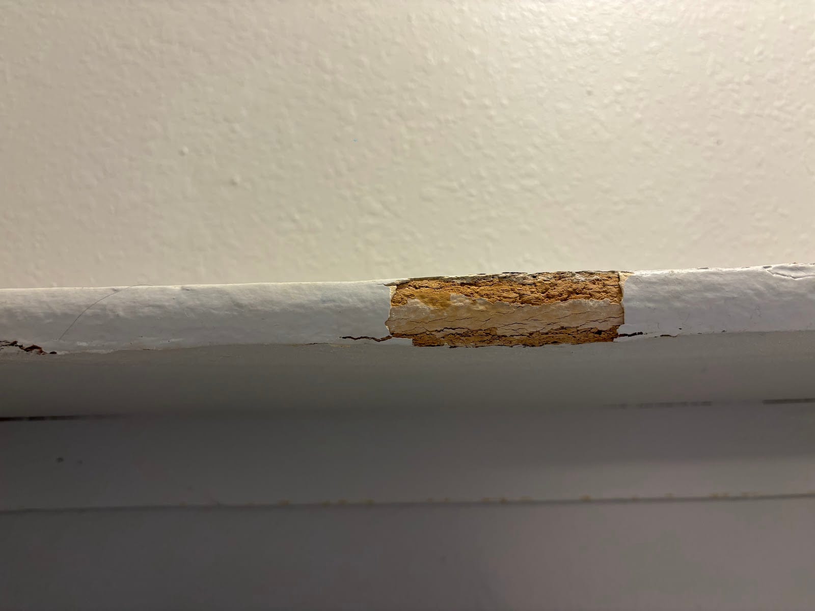 MBA Pest Management