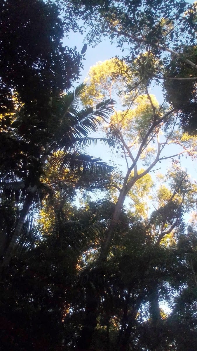 Brewers Road Reserve