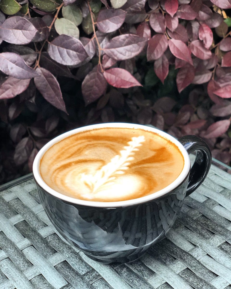 Guillermo's Gourmet Coffee, photo 3