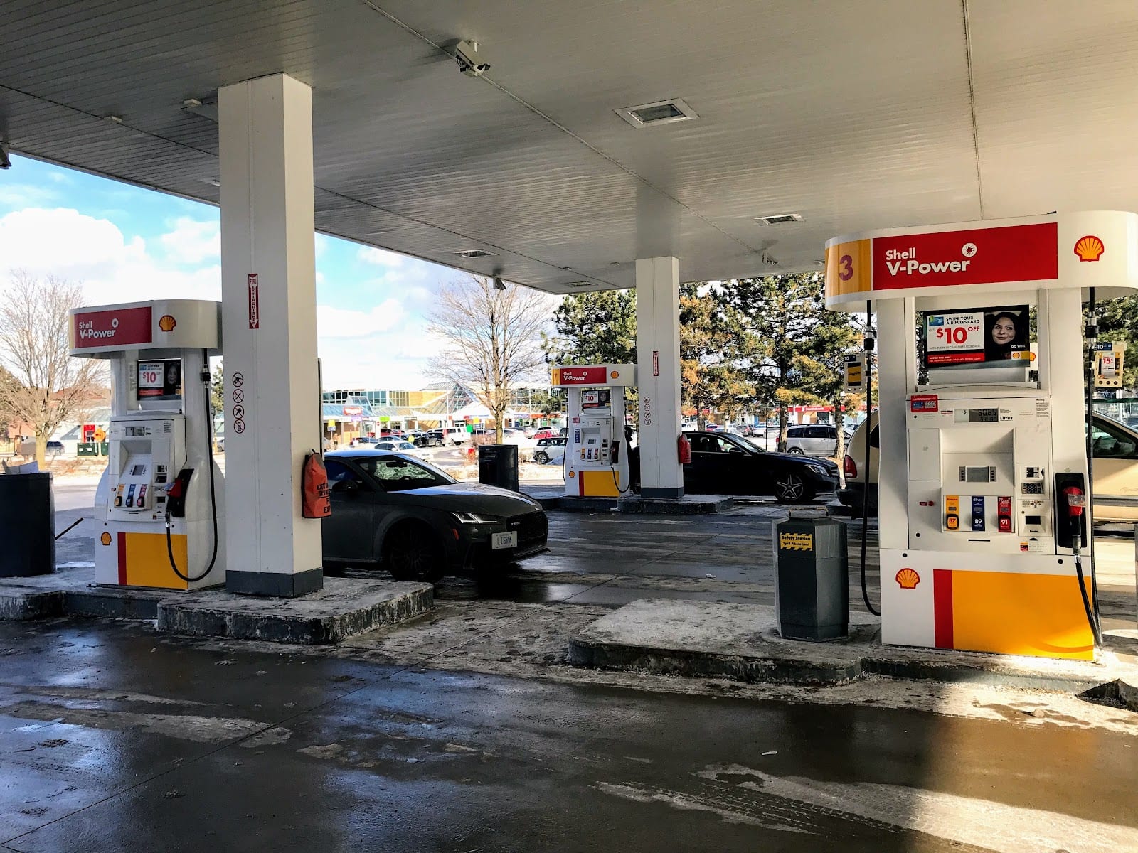 Shell, photo 3