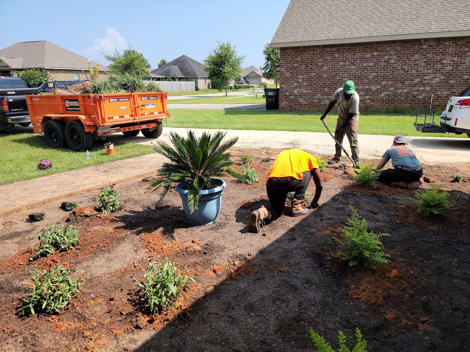 Champion Lawn and Landscape, photo 2
