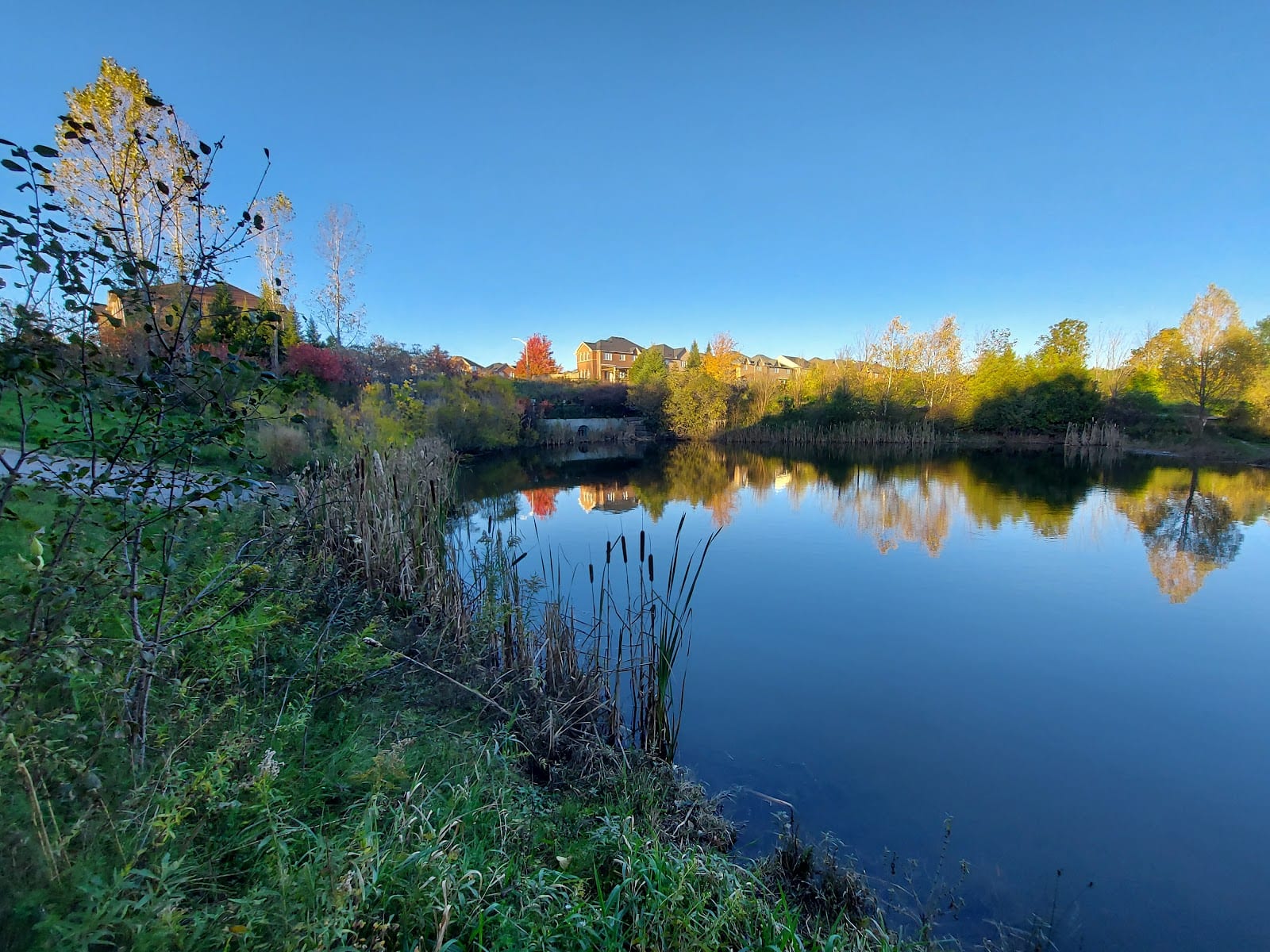 Stormwater Pond on Oak Ridges Corridor Conservation Reserve
