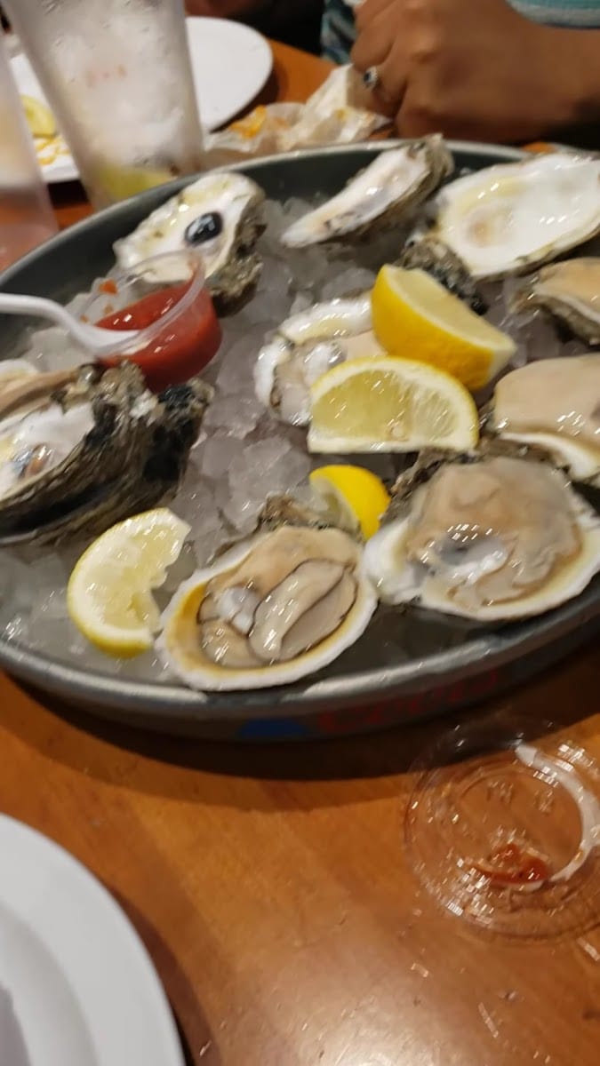 Fish n tails oyster bar, photo 2