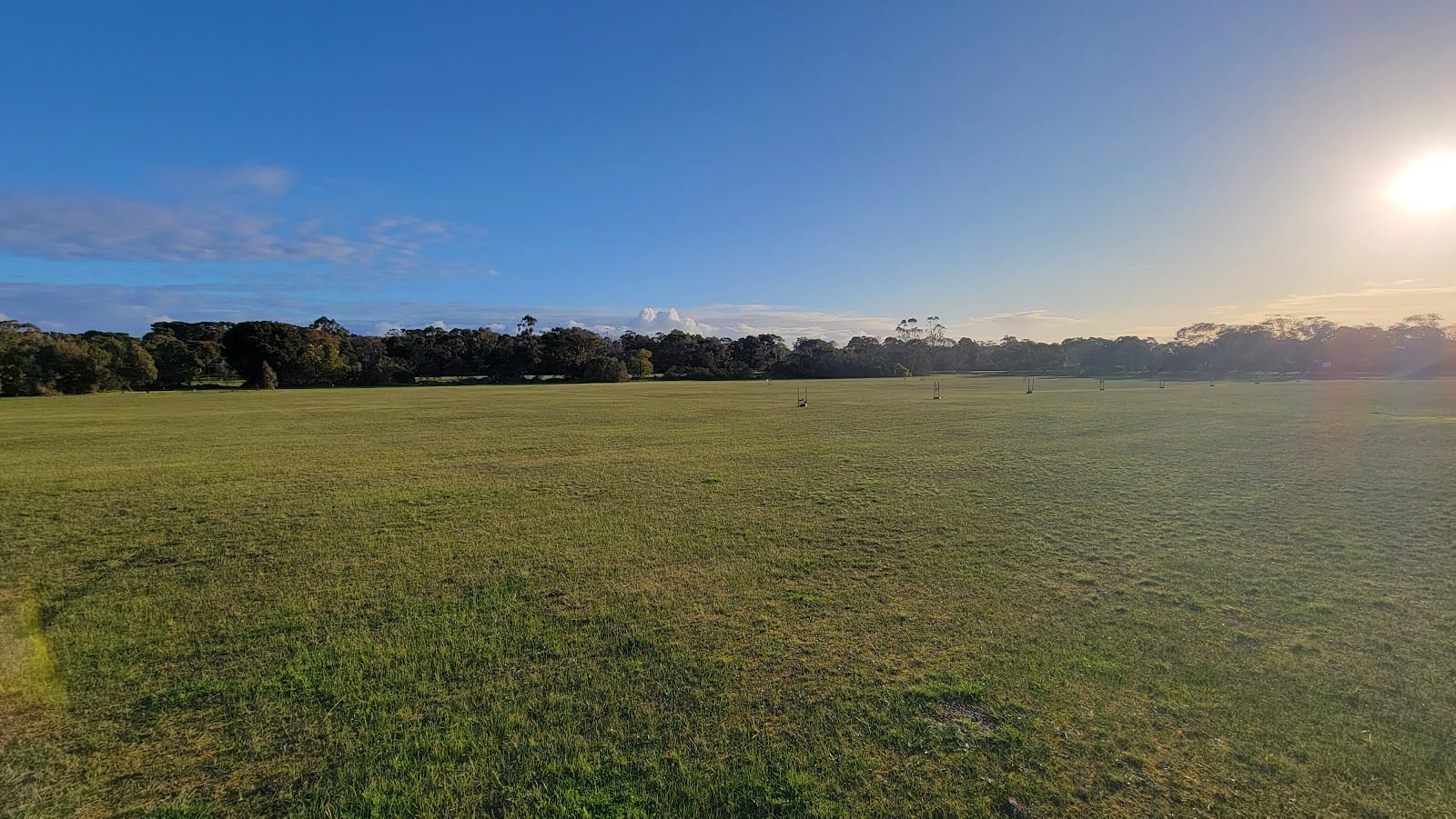Clarendon Reserve Dog Off Leash Area, photo 2