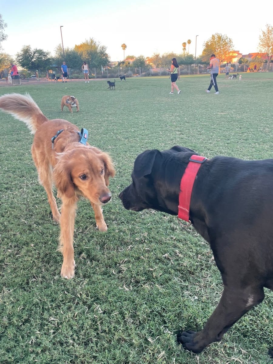 Chaparral Dog Park, photo 3