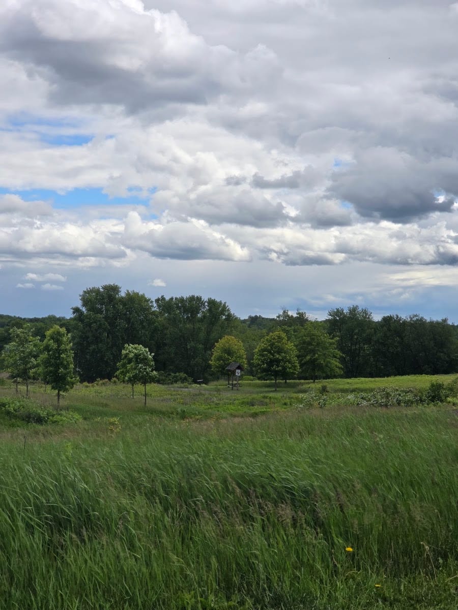 Central Park, photo 3