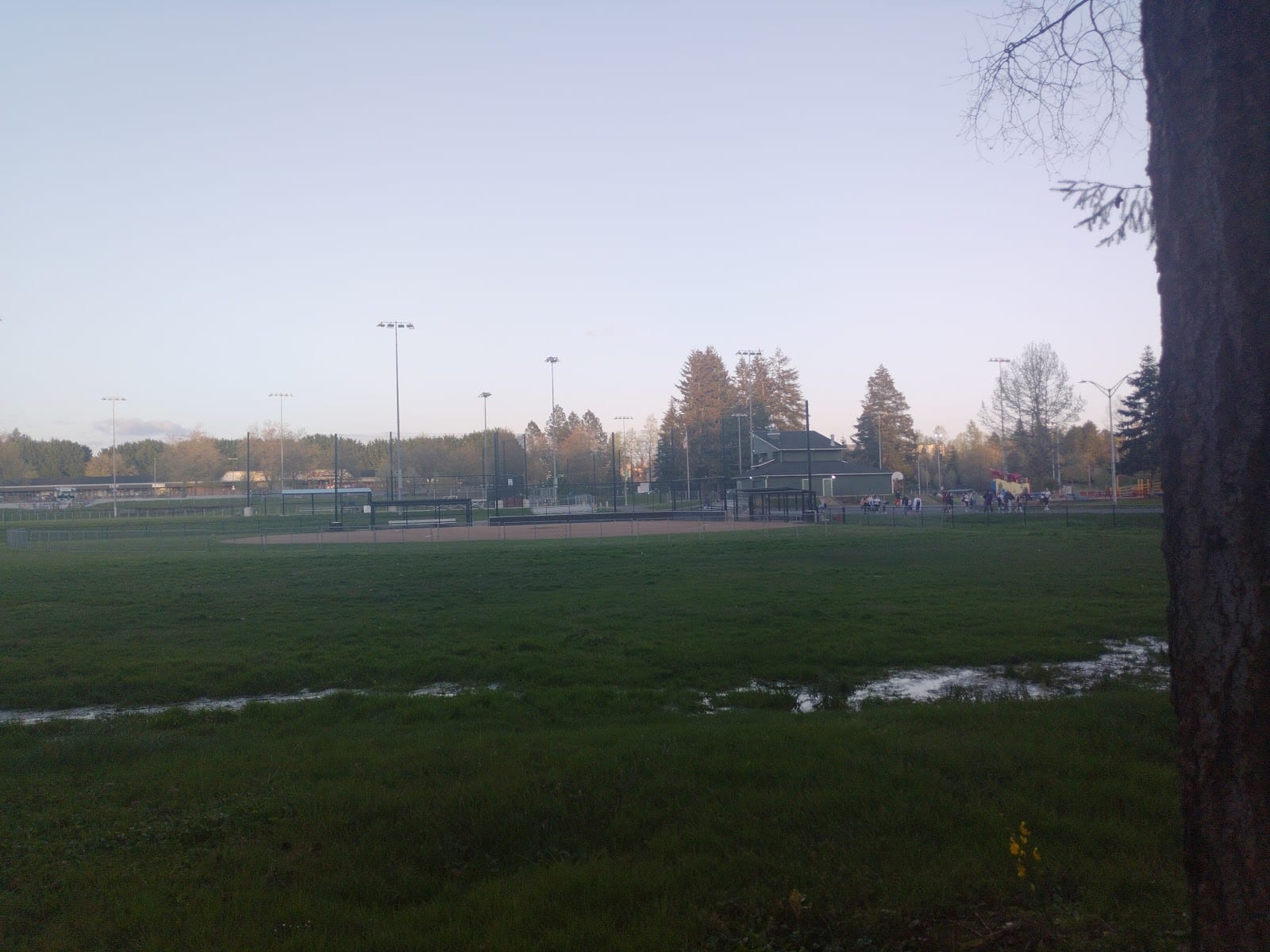 Yauger Park Ball Field 3