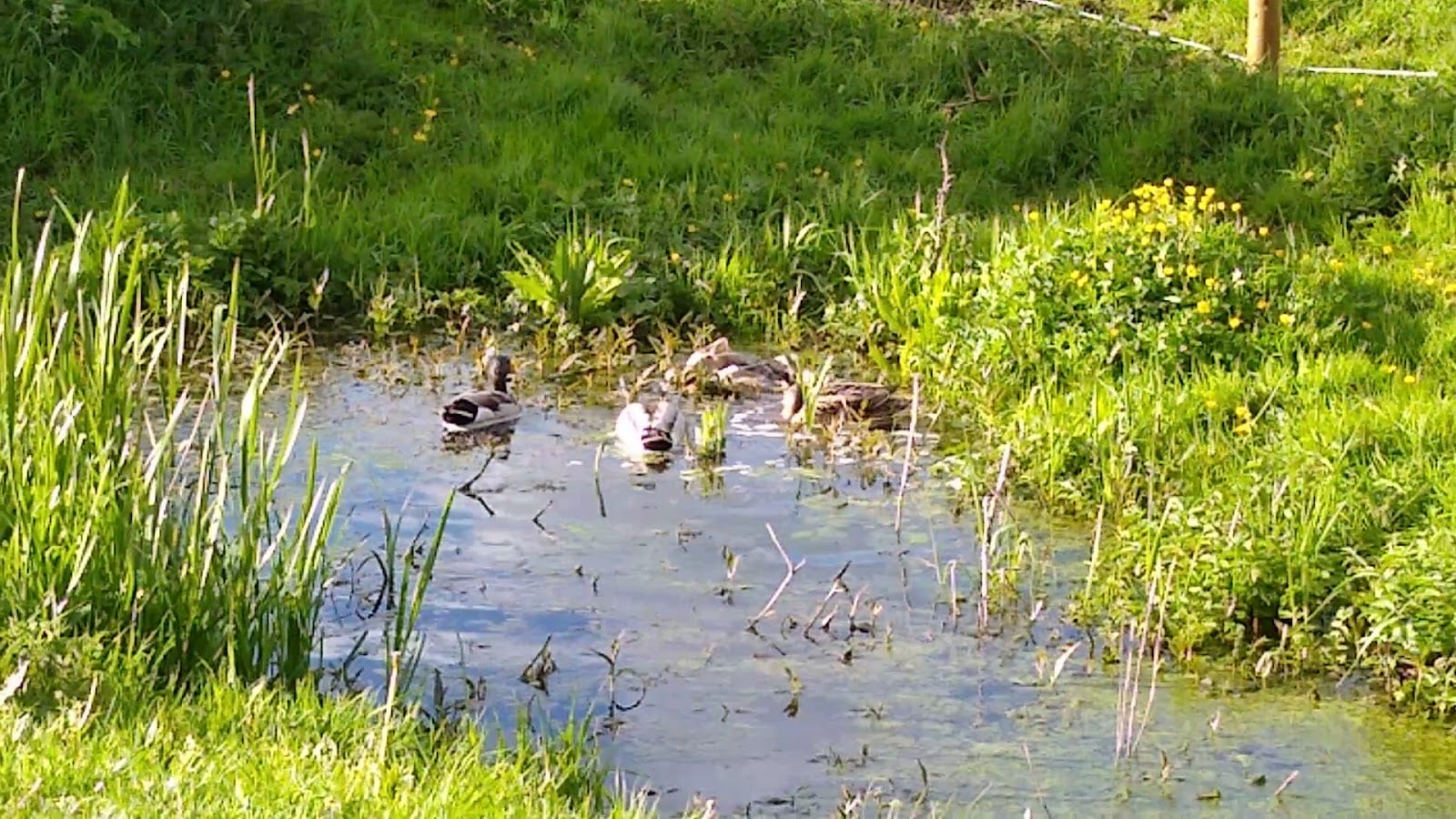 Bowthorpe Southern Park Car Park, photo 2