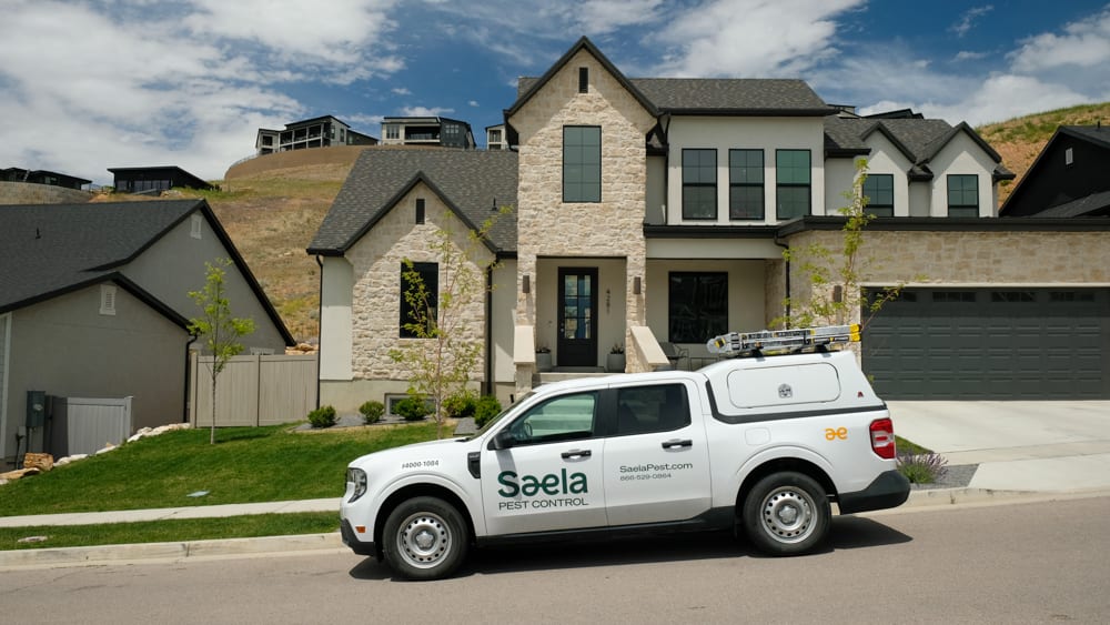 Saela Pest Control