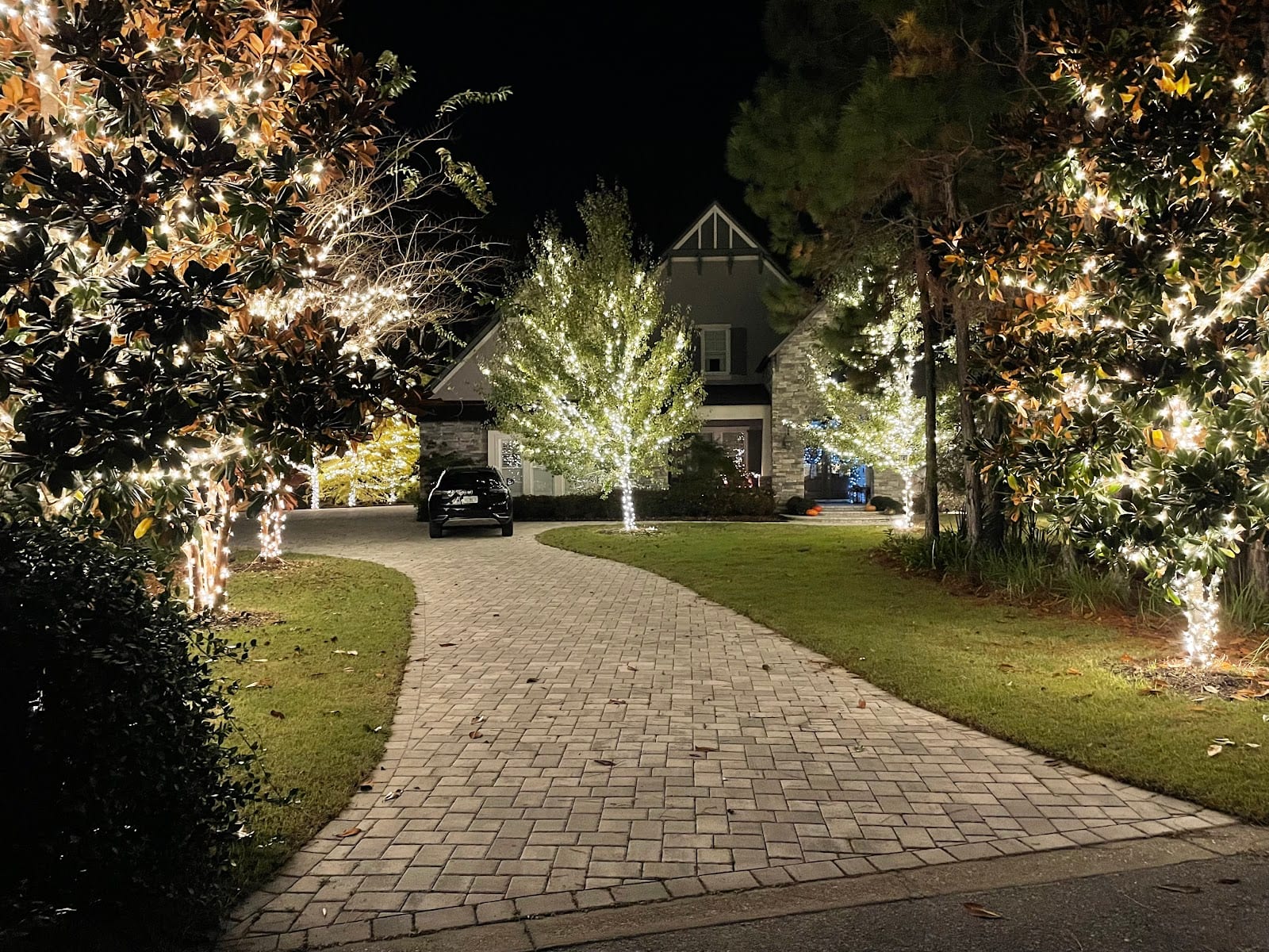 Gulf Coast Christmas Lights
