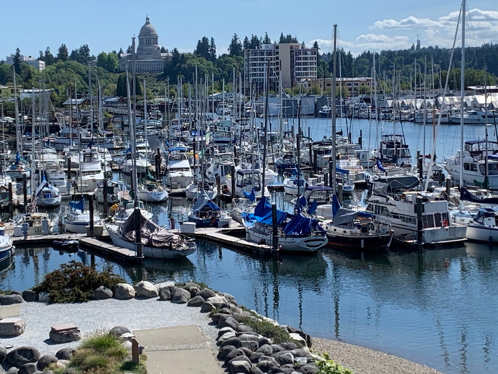 olympia waterfront, photo 3