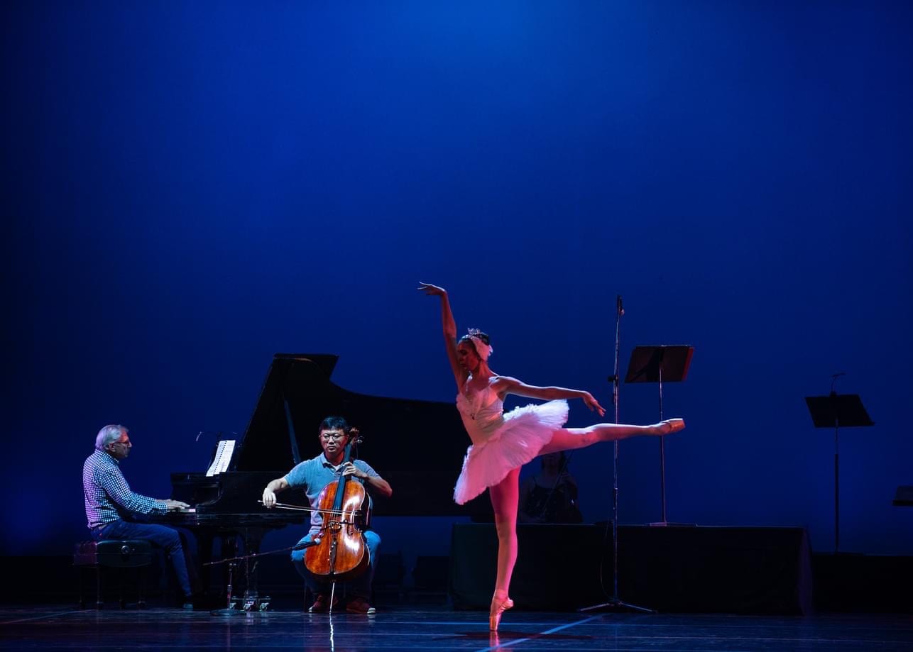 Mobile Ballet, photo 3